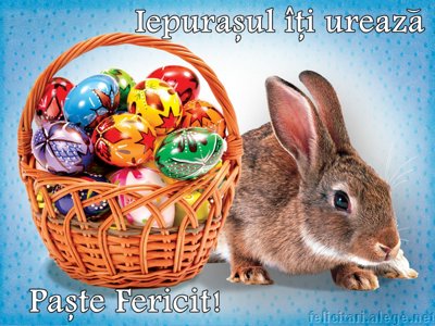 Iepurasul Iti Ureaza Paste Fericit!